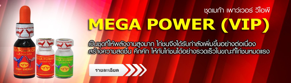 MEGA POWER VIP