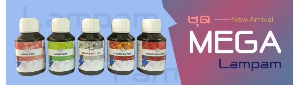 Mega