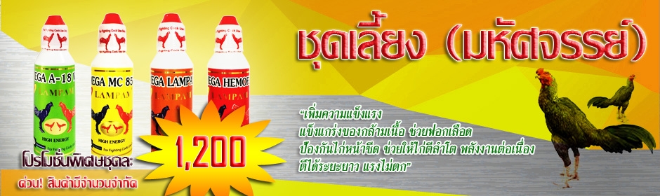 ชุดเลี้ยง (มหัศจรรย์)